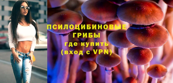 сатива Сосновка