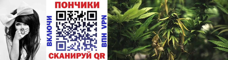 МЕГА как зайти  где купить наркотик  Балабаново  Бошки марихуана конопля 